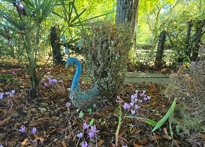 Rustique & Authentique Maison Au Rai